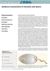 Guidance Mechanisms in Bacteria and Sperm