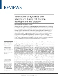 Mitochondrial Dynamics and Inheritance During Cell Division, Development and Disease