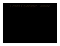 There Is Very Little Evidence of Either Artwork Or Ritual Behavior in Lower Paleolithic Contexts with Two Exceptions