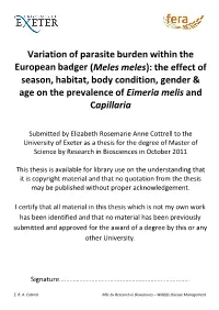 Variation of Parasite Burden Within the European Badger
