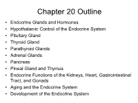 Chapter Twenty
