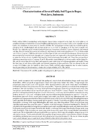 Characterization of Several Paddy Soil Types in Bogor, West Java, Indonesia