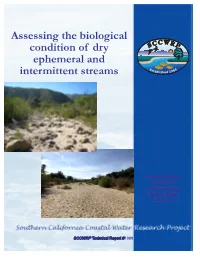 Condition of Dry Ephemeral and Intermittent Streams