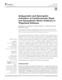 Antagonistic and Synergistic Activation of Cardiovascular Vagal and Sympathetic Motor Outflows in Trigeminal Reflexes