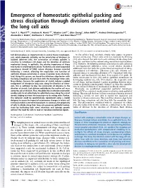 Emergence of Homeostatic Epithelial Packing and Stress Dissipation Through Divisions Oriented Along the Long Cell Axis