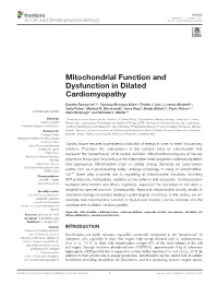 Mitochondrial Function and Dysfunction in Dilated Cardiomyopathy