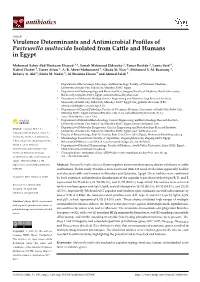 Virulence Determinants and Antimicrobial Profiles of Pasteurella Multocida Isolated from Cattle and Humans in Egypt