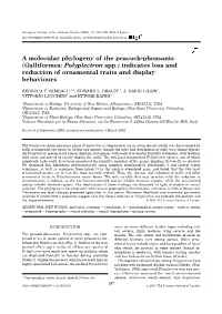 A Molecular Phylogeny of the Peacock-Pheasants (Galliformes: Polyplectron Spp.) Indicates Loss and Reduction of Ornamental Traits and Display Behaviours