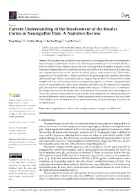 Current Understanding of the Involvement of the Insular Cortex in Neuropathic Pain: a Narrative Review