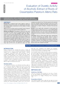Evaluation of Diuretic Activity of Alcoholic Extract of Roots Of