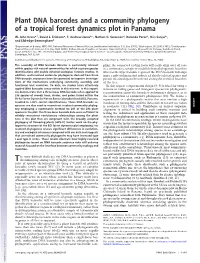 Plant DNA Barcodes and a Community Phylogeny of a Tropical Forest Dynamics Plot in Panama