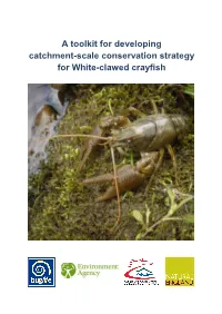 A Toolkit for Developing a Catchment-Scale Conservation