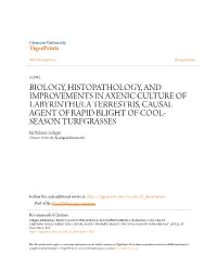 Biology, Histopathology, and Improvements in Axenic Culture of Labyrinthula Terrestris, Causal Agent of Rapid Blight of Cool-Season Turfgrasses