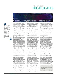 Claudin 2 and Hypercalciuria—Of Mice And