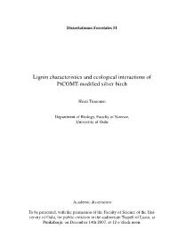 Lignin Characteristics and Ecological Interactions of Ptcomt-Modified Silver Birch