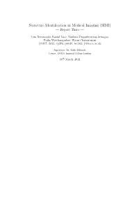 Structure Identification in Medical Imaging (SIMI)