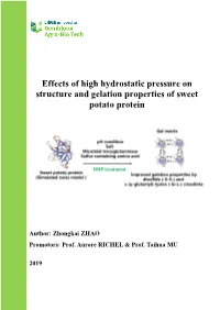 Effects of High Hydrostatic Pressure on Structure and Gelation Properties of Sweet Potato Protein