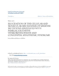 Elucidation of the Cellular and Molecular Mechanisms Of