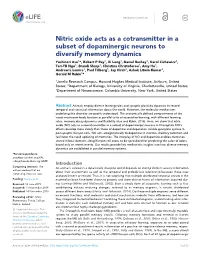 Nitric Oxide Acts As a Cotransmitter in a Subset of Dopaminergic Neurons To