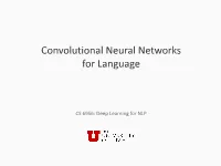 Convolutional Neural Networks for Language