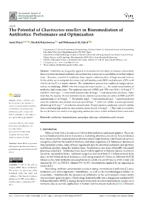 The Potential of Chaetoceros Muelleri in Bioremediation of Antibiotics: Performance and Optimization
