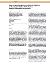 Structural Insights Into the Specific Binding of Huntingtin Proline-Rich