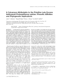 A Calcaneus Attributable to the Primitive Late Eocene Anthropoid Proteopithecus Sylviae: Phenetic Affinities and Phylogenetic Implications
