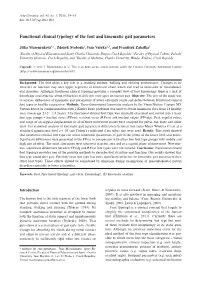 Functional Clinical Typology of the Foot and Kinematic Gait Parameters