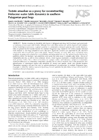 Testate Amoebae As a Proxy for Reconstructing Holocene Water Table Dynamics in Southern Patagonian Peat Bogs