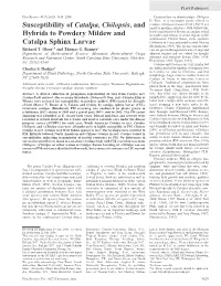 Susceptibility of Catalpa, Chilopsis, and Hybrids to Powdery Mildew