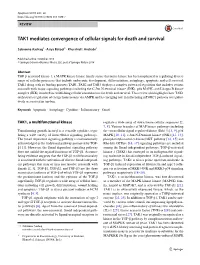 TAK1 Mediates Convergence of Cellular Signals for Death and Survival