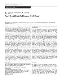 Yeast Flocculation: What Brewers Should Know