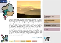 Galego. Language and History