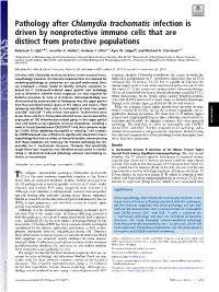 Chlamydia Trachomatis Infection Is Driven by Nonprotective Immune Cells That Are Distinct from Protective Populations