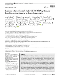 Trna Synthetase Linked to Dominant Axonal Peripheral Neuropathy