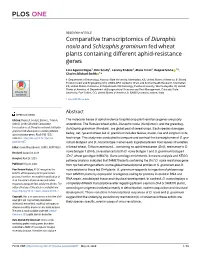 Comparative Transcriptomics of Diuraphis Noxia and Schizaphis Graminum Fed Wheat Plants Containing Different Aphid-Resistance Genes