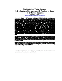 Introduction; Environment & Review of Eyes in Different Species