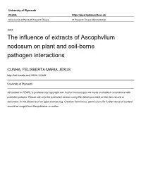The Influence of Extracts of Ascophvllum Nodosum on Plant and Soil-Borne Pathogen Interactions