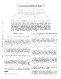Diverse Spatial Expression Patterns Emerge from Common Transcription Bursting Kinetics
