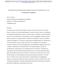 Identification and Characterization of Genes Found in Coccidioides Spp