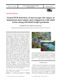 Nested PCR Detection of Microscopic Life-Stages of Laminarian Macroalgae and Comparison with Adult Forms Along Intertidal Height Gradients