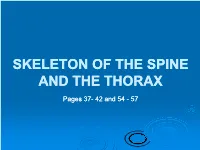 Skeleton of the Spine and the Thorax
