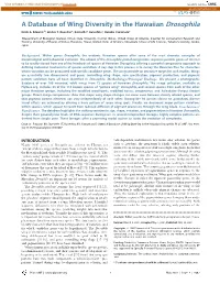 A Database of Wing Diversity in the Hawaiian Drosophila Kevin A