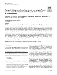 Aquaporin 4 Suppresses Neural Hyperactivity and Synaptic Fatigue and Fine-Tunes Neurotransmission to Regulate Visual Function in the Mouse Retina