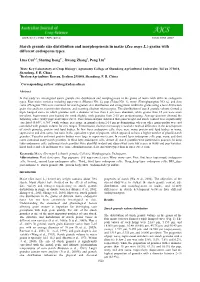 Starch Granule Size Distribution and Morphogenesis in Maize (Zea Mays L.) Grains with Different Endosperm Types