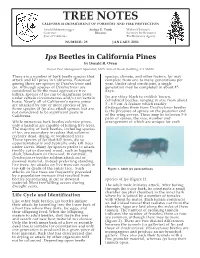 TREE NOTES CALIFORNIA DEPARTMENT of FORESTRY and FIRE PROTECTION Arnold Schwarzenegger Andrea E
