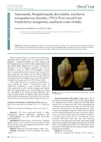 Cantharus Tranquebaricus (Gmelin, 1791): First Record from Istributio D