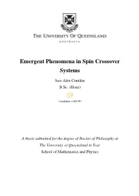 Emergent Phenomena in Spin Crossover Systems