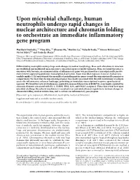 Upon Microbial Challenge, Human Neutrophils Undergo Rapid Changes in Nuclear Architecture and Chromatin Folding to Orchestrate an Immediate Inflammatory Gene Program