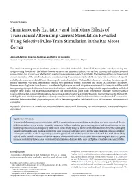 Simultaneously Excitatory and Inhibitory